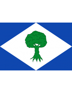 Bandera de Noceda del Bierzo