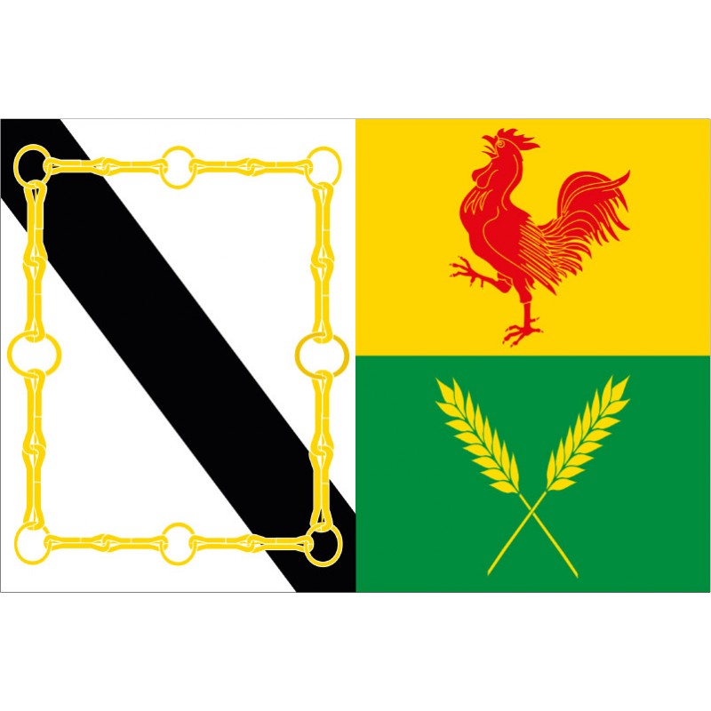 Bandera de Xinzo de Limia