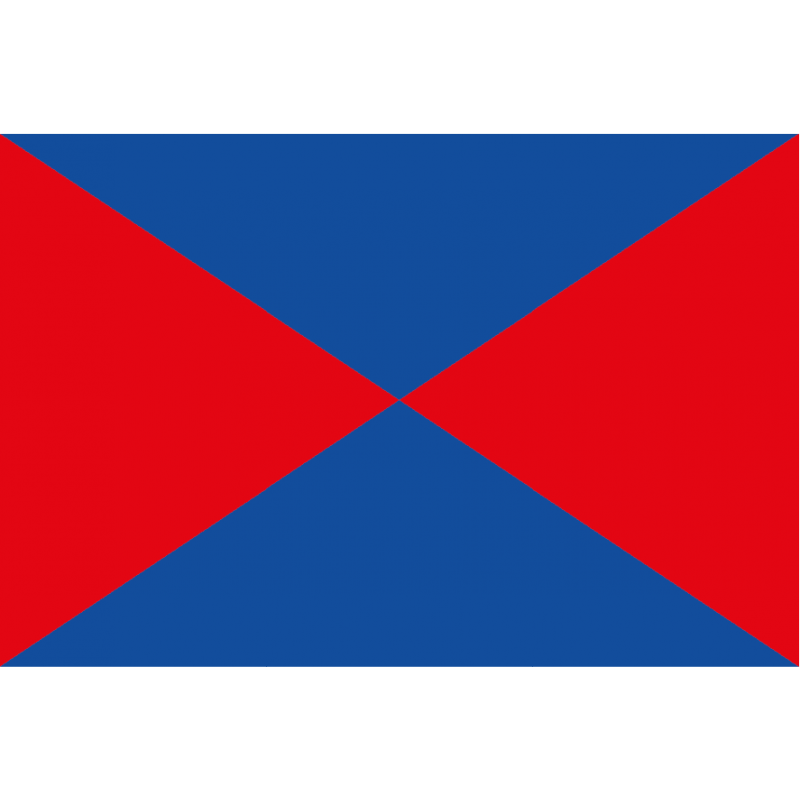 Bandera de Baiona