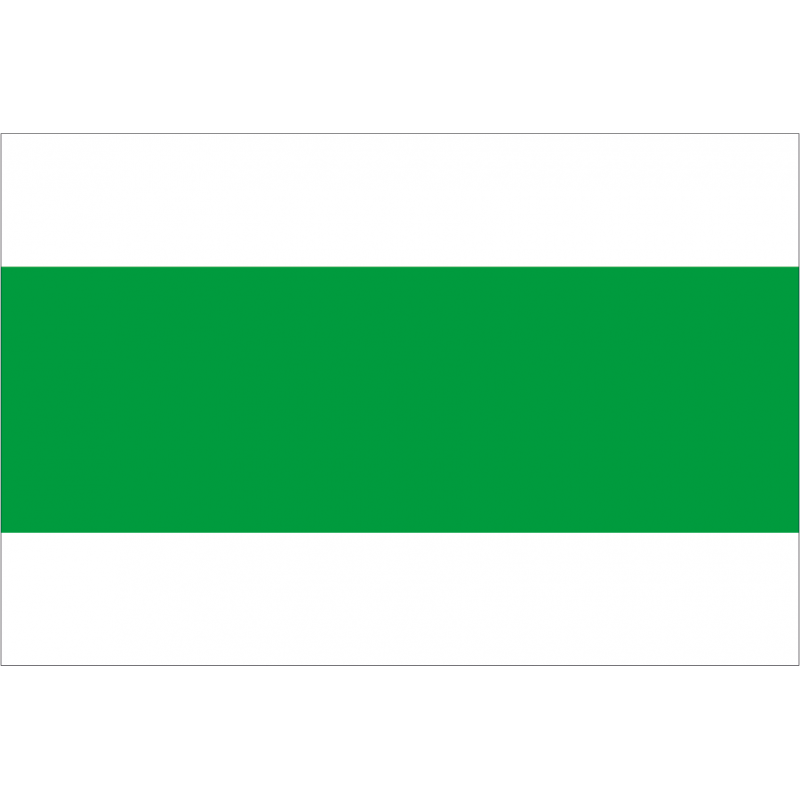 Bandera de Lalín