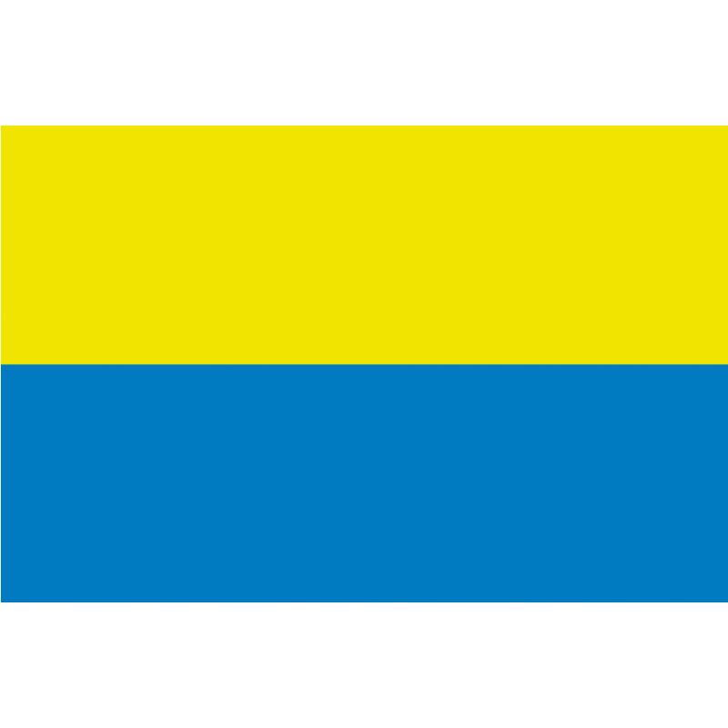 Bandera de Pazos de Borbén