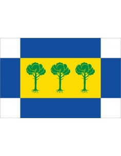 Bandera de San Martín y...