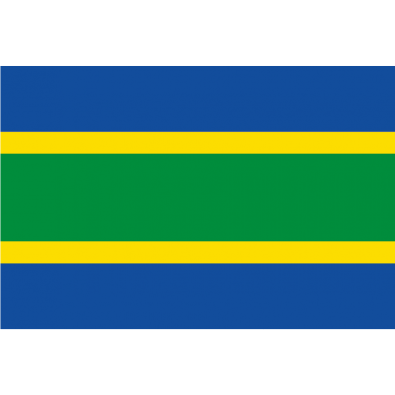 Bandera de Arquillinos