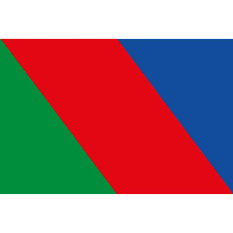 Bandera de Aspariegos