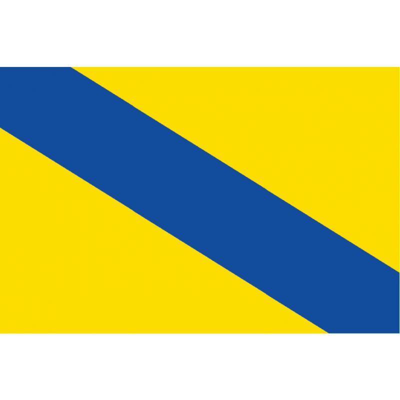 Bandera de Cañizo