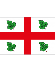 Bandera de Casaseca de las...