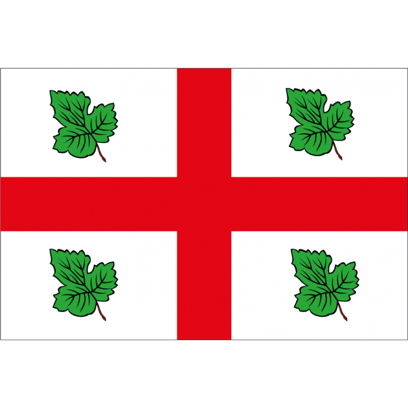 Bandera de Casaseca de las Chanas