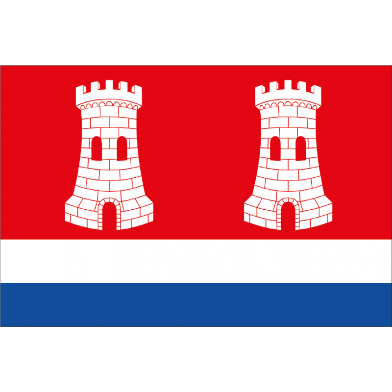 Bandera de Castrogonzalo