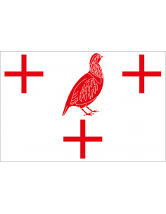 Bandera de El Perdigón