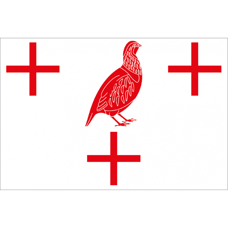 Bandera de El Perdigón