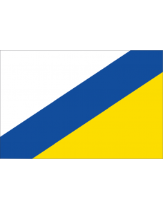 Bandera de San Miguel del...