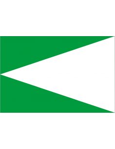 Bandera de Villanueva del...