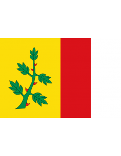 Bandera de Espinosa de...