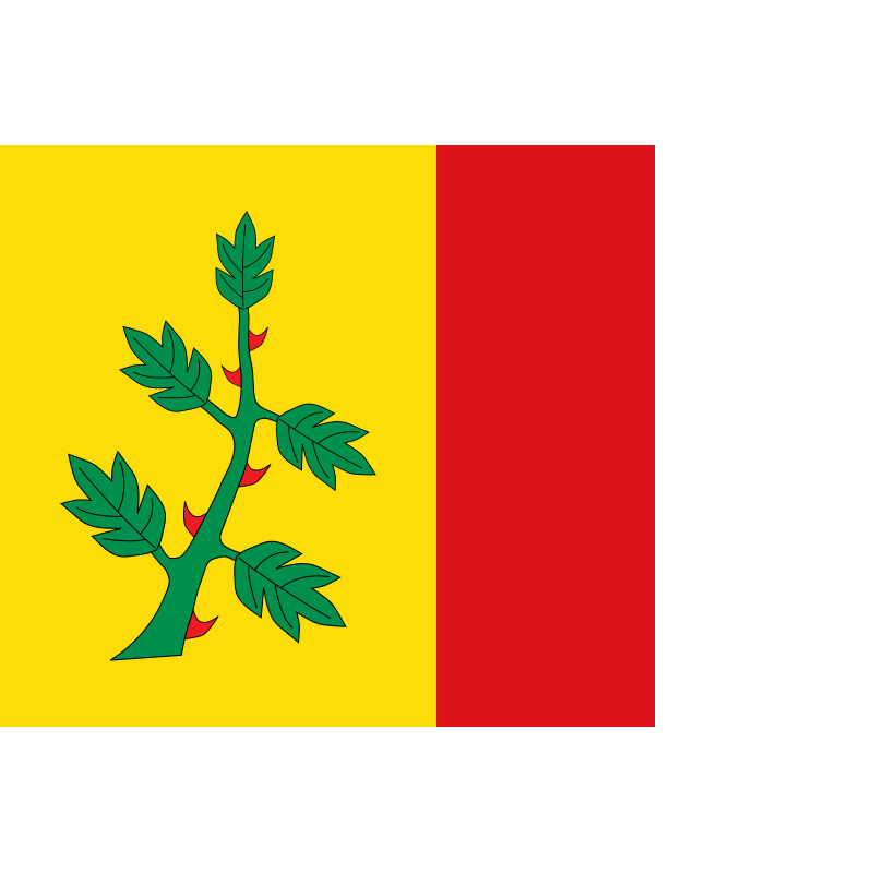 Bandera de Espinosa de Villagonzalo