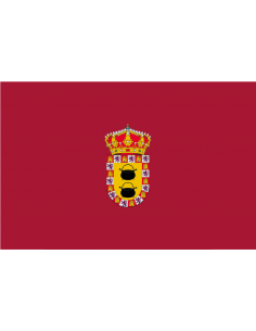 Bandera de Paredes de Nava