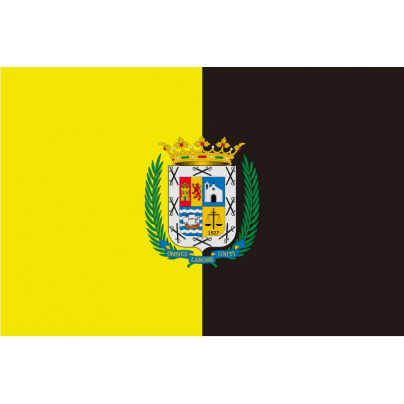 Bandera de La Aldea de San Nicolás