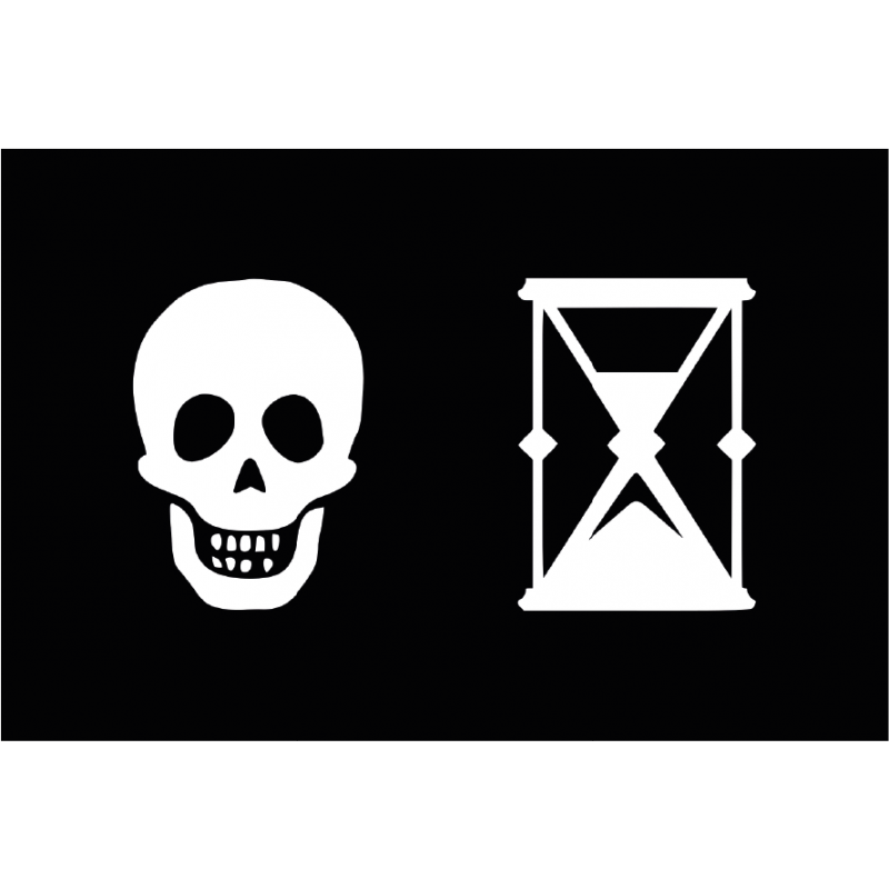 Bandera Pirata. Modelo 6