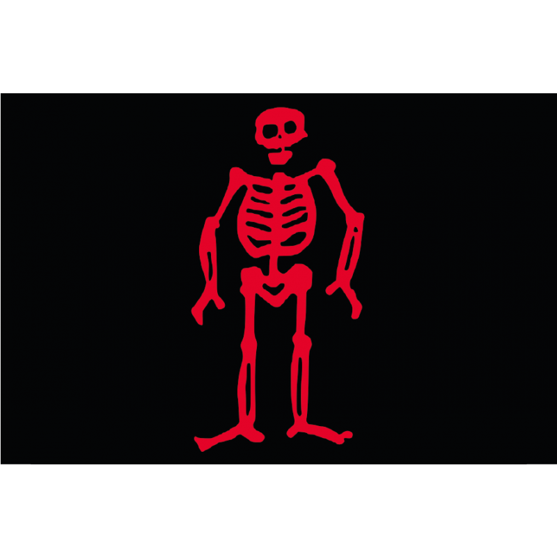 Bandera Pirata. Modelo 12