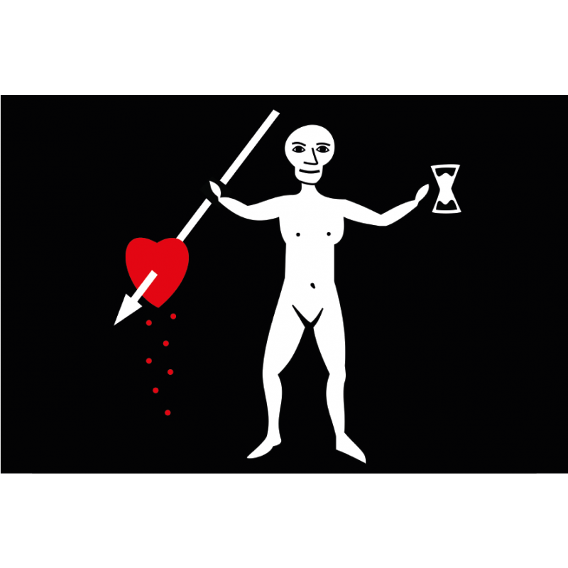 Bandera Pirata. Modelo 16