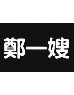 Bandera Pirata. Modelo 26