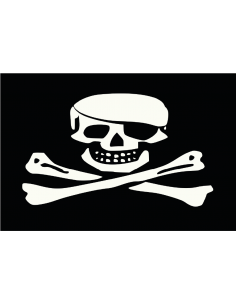 Bandera Pirata. Modelo 45