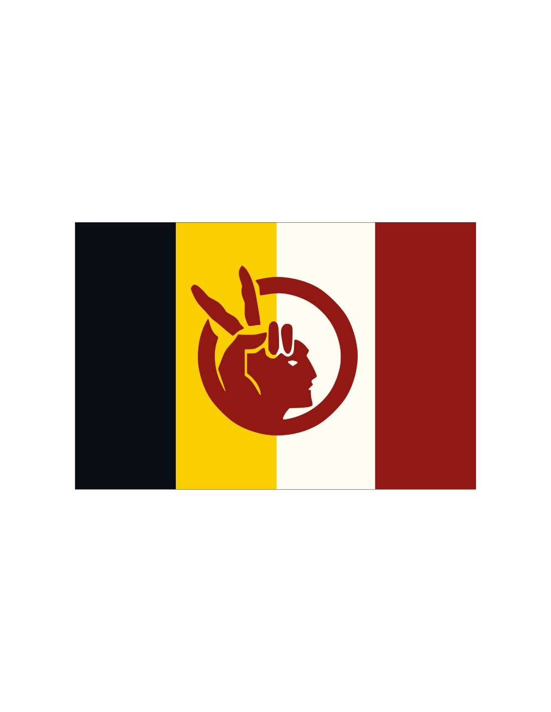 Bandera de los Nativos Americanos