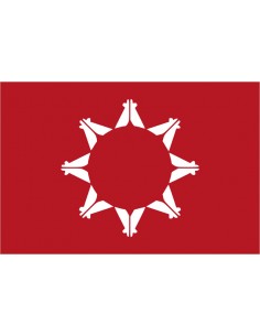 Bandera del Pueblo Sioux