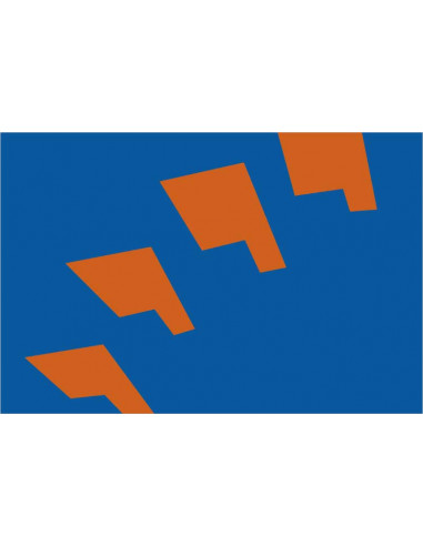 Bandera-de-Berkelland