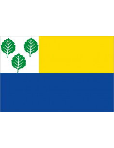 Bandera-de-Oldebroek