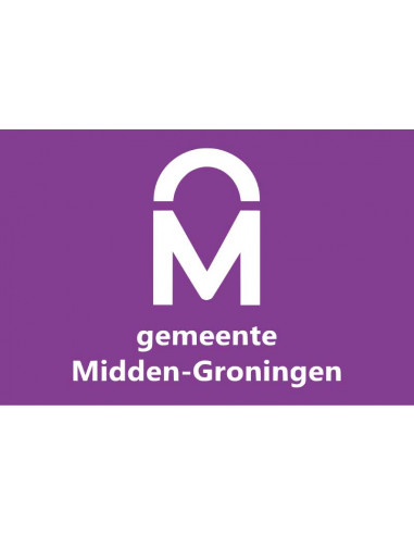 Bandera-de-Midden-Groninga