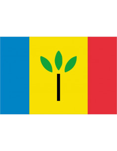 Bandera-de-Landgraaf