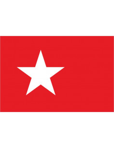 Bandera-de-Maastricht