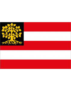 Bandera-de-Den-Bosch