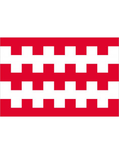Bandera-de-Dongen