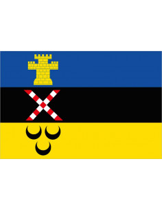 Bandera-de-Meierijstad