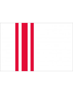 Bandera-de-Oisterwijk