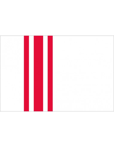 Bandera-de-Oisterwijk