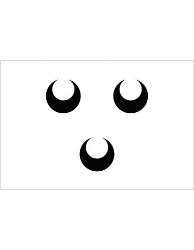 Bandera-de-Oosterhout