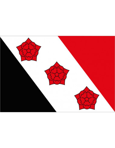 Bandera-de-Roosendaal