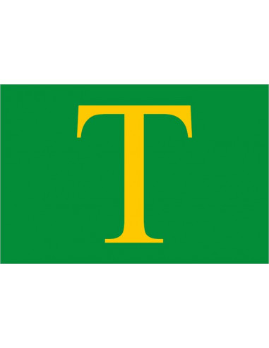 Bandera-de-Sint-Anthonis