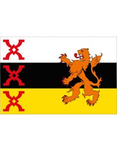 Bandera-de-Someren