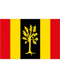 Bandera-de-Waalwijk