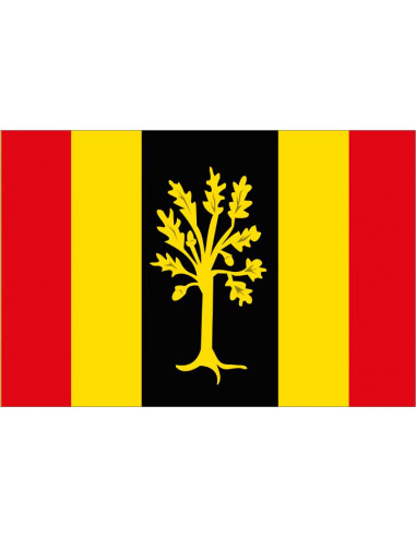 Bandera-de-Waalwijk