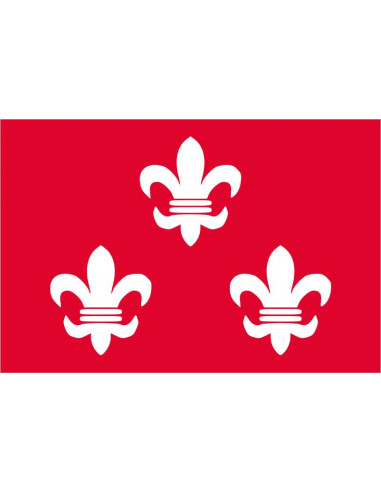 Bandera-de-Beverwijk