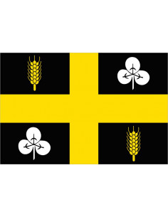 Bandera-de-Raalte