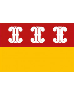 Bandera-de-Wijk-bij-Duurstede