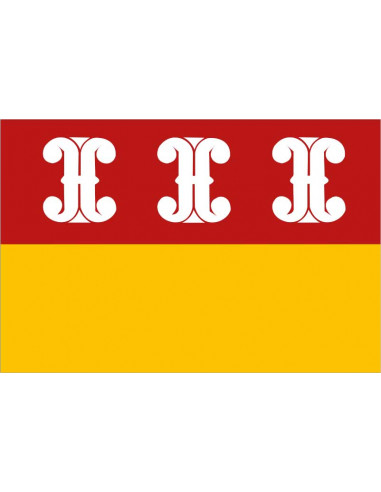 Bandera-de-Wijk-bij-Duurstede