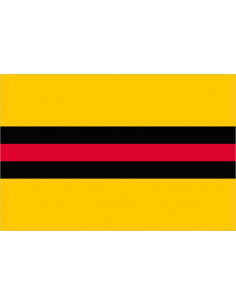 Bandera-de-Woudenberg