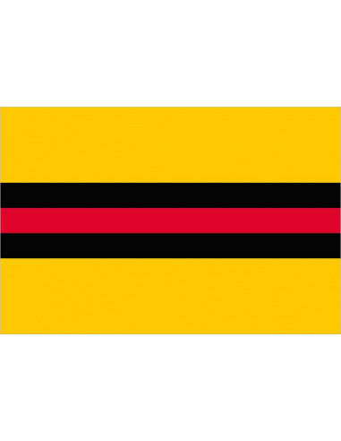 Bandera-de-Woudenberg