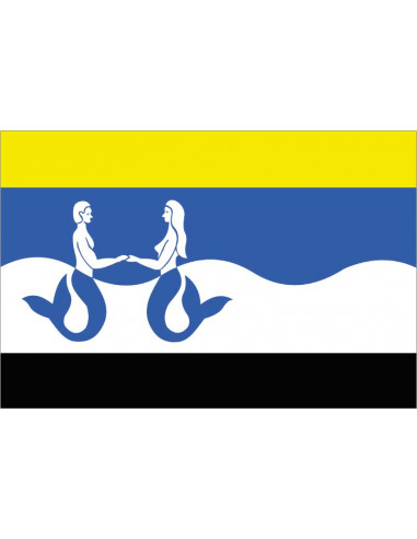 Bandera-de-Schouwen-Duiveland
